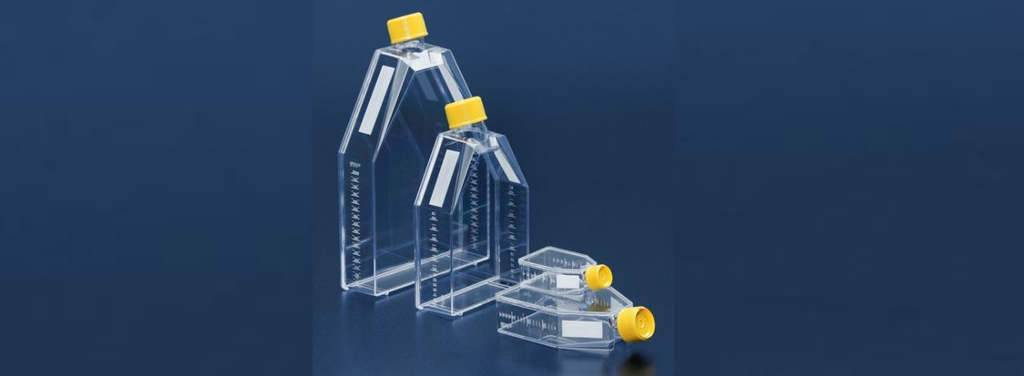 Cell culture bottle 150cm2 / cap with aeration