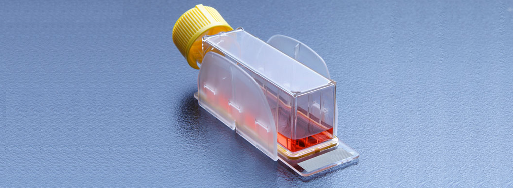 Breeding bottle with microscopic slide, Clipmax 10 cm2