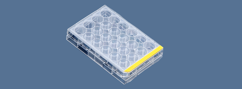 Test plates for cell cultures 24 hole