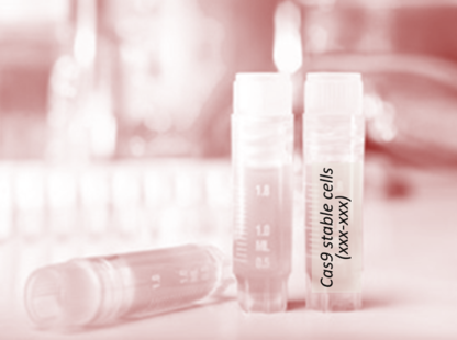 [SA-252CELL-168] Cas9 Stable Cell Line (IPEC-J2)