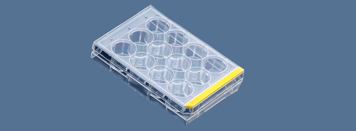 [SK-FEM1B-99] Test plates for cell culture 12 holes