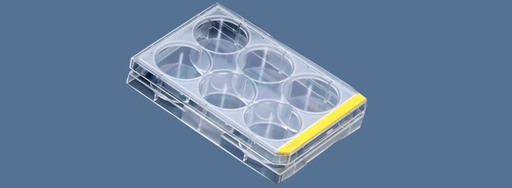 [SK-FEM1B-102] Test plates for cell culture 6 holes