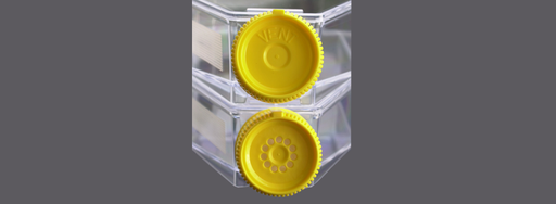 [SK-FEM1B-156] Aseptic Cap for Cell Culture Bottles – 25 cm² (Pack of 10)