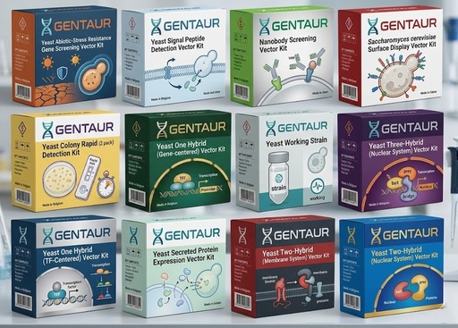 [RY8014] Yeast Secreted Protein Expression Vector Kit