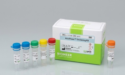 [S-6010] Gene Cloning Service Insert